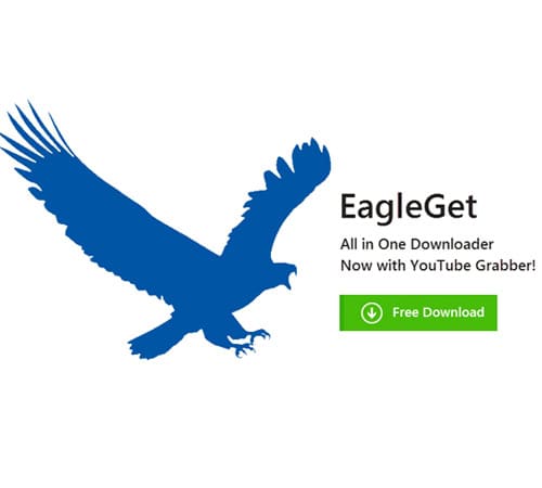 EagleGet Download